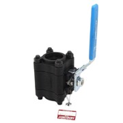 Ball Valves - Carbon Steel Socket Weld